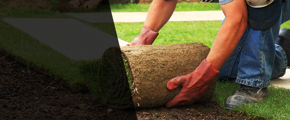 Neshanic Station Landscapers